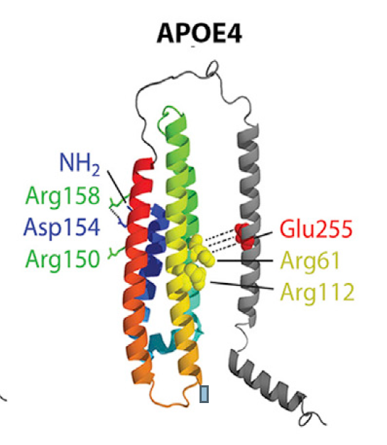 Genomadix Image